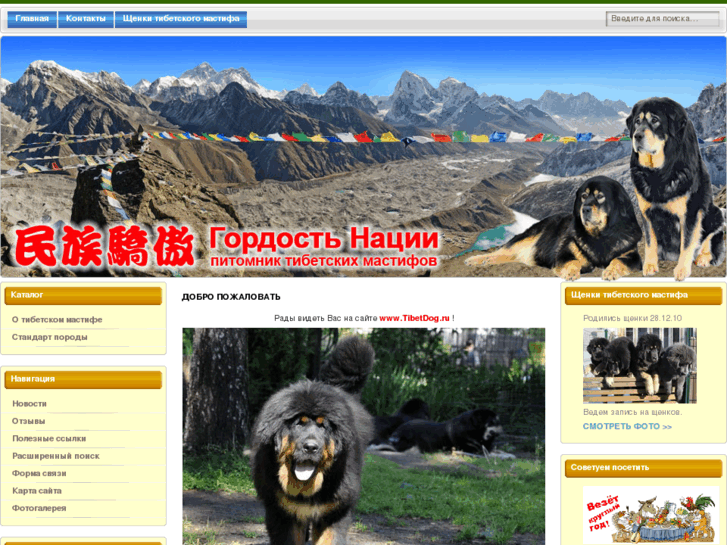 www.tibetdog.ru