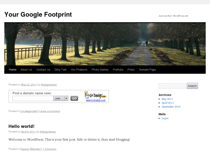 www.yourgooglefootprint.com