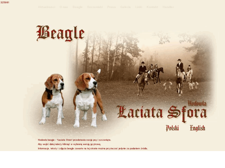 www.beagle.net.pl