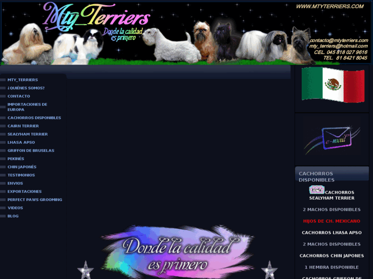 www.mtyterriers.com