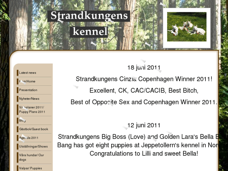 www.strandkungens.se