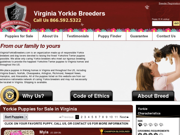 www.virginiayorkiebreeders.com