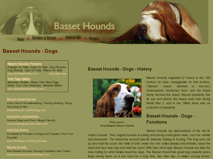 www.basset-hound-dogs.com