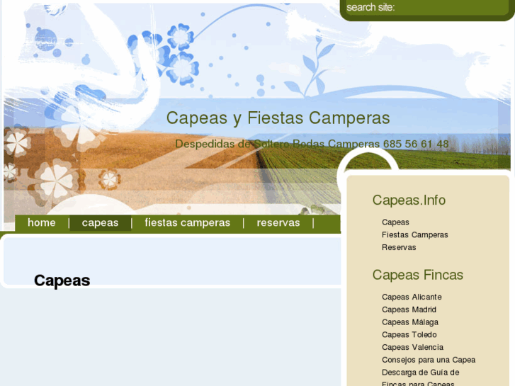 www.capeas.info