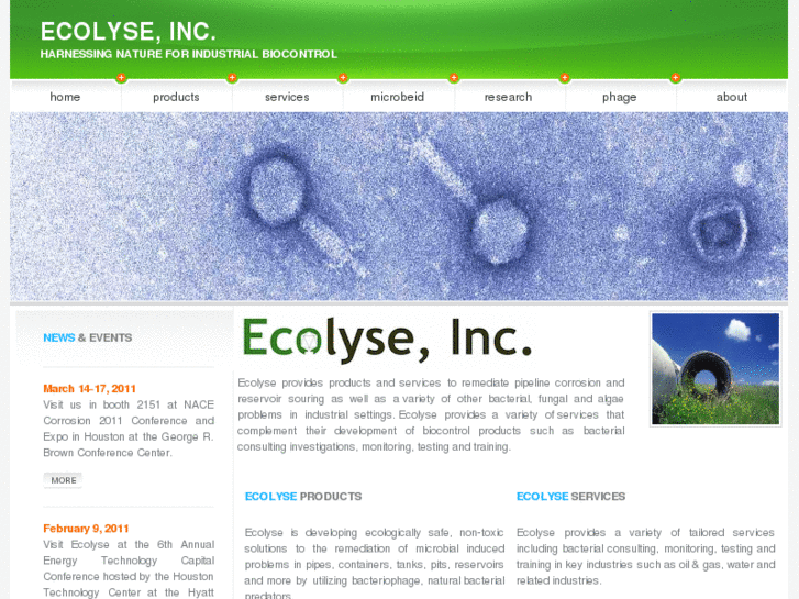 www.ecolyse.com