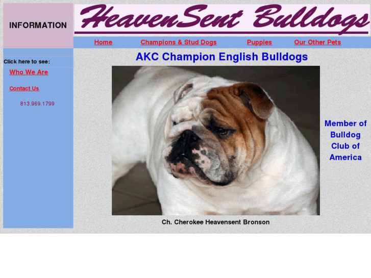 www.heavensentbulldogs.com