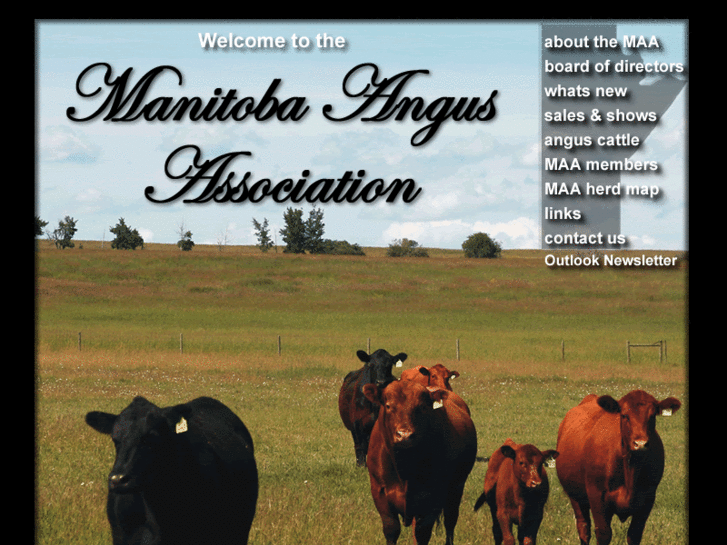 www.mbangus.ca