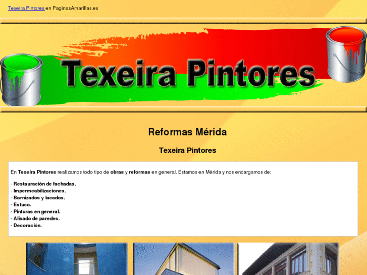 www.texeirapintores.es