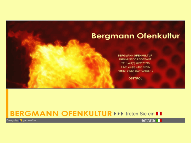 www.bergmann-ofenkultur.com