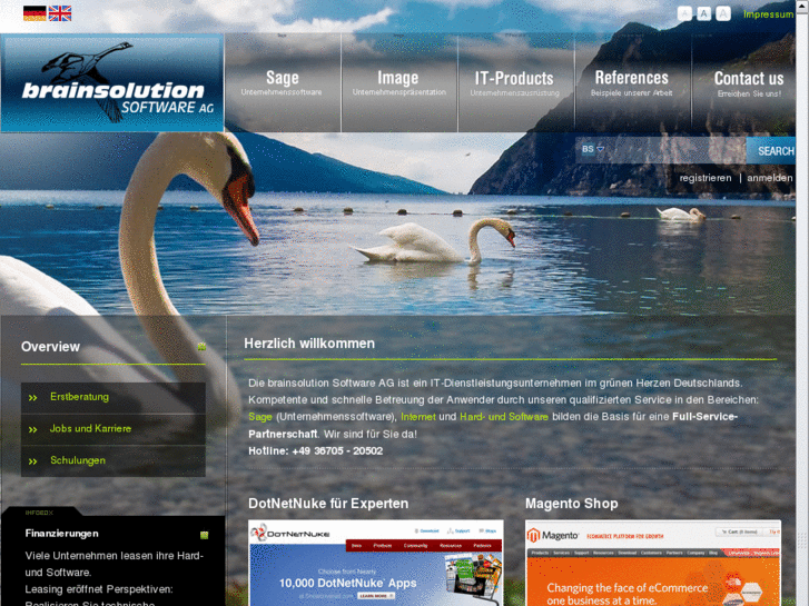 www.brainsolution.de