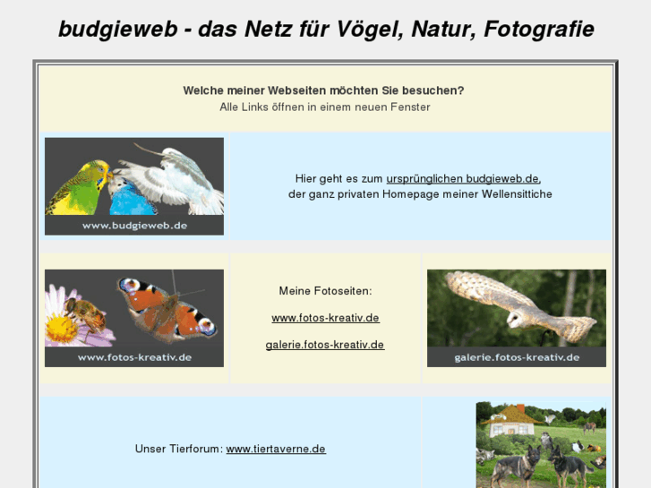 www.budgieweb.de