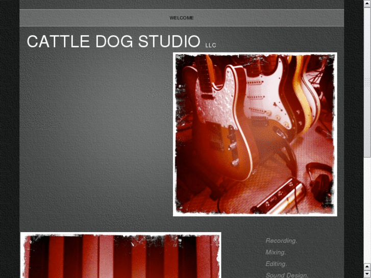 www.cattledogstudio.com