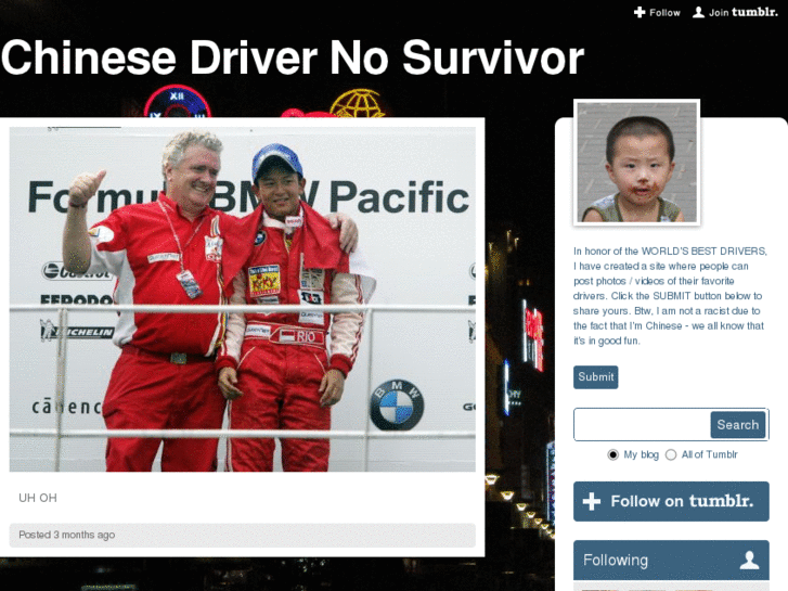 www.chinesedrivernosurvivor.com