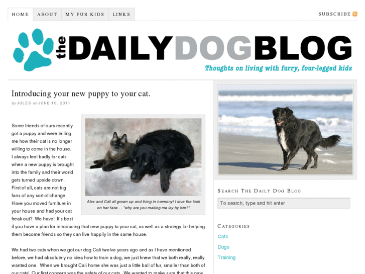 www.thedailydogblog.com