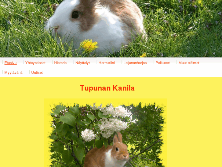 www.tupunankanila.net