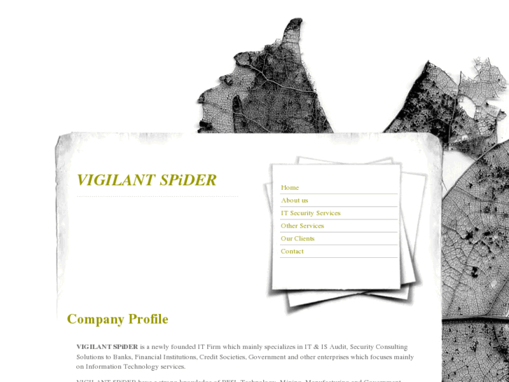 www.vigilantspider.com