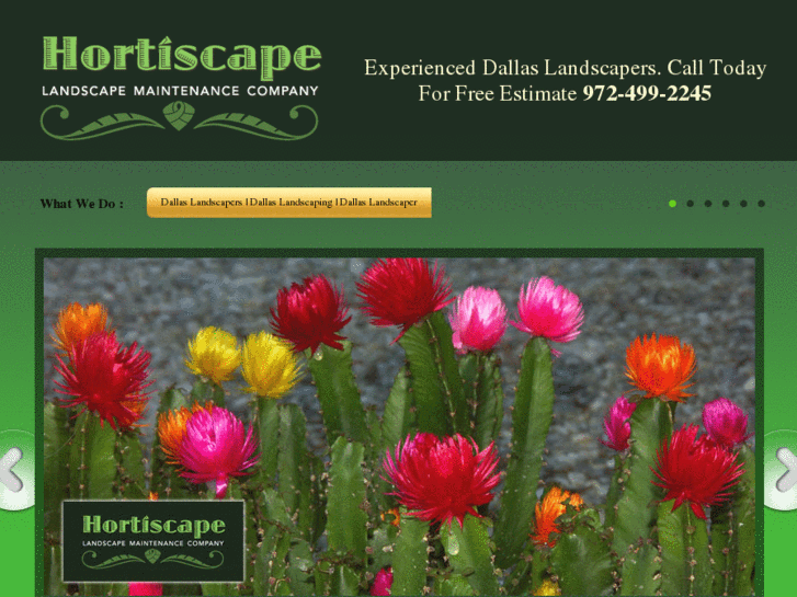 www.dallaslandscapers.net