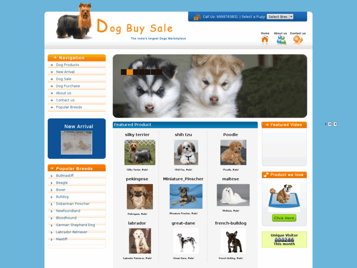 www.dogbuysale.com