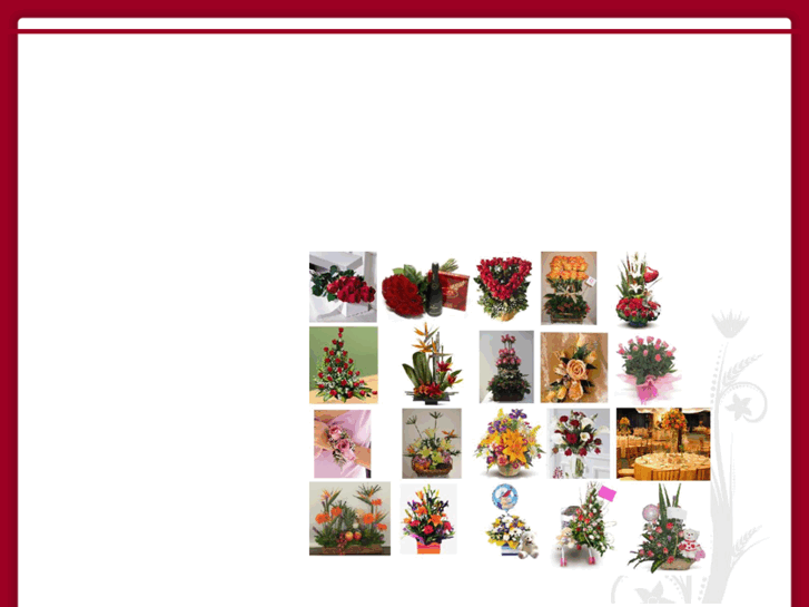 www.floristeriayamy.com