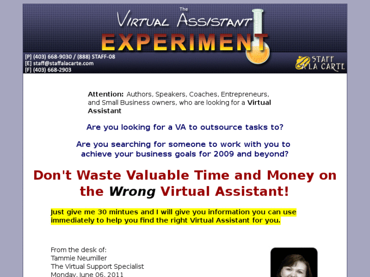 www.virtual-assistant-experiment.com