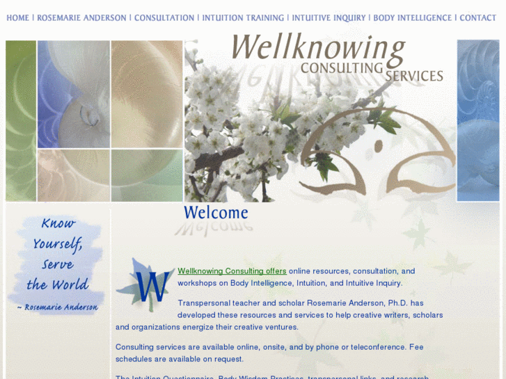 www.wellknowingconsulting.org