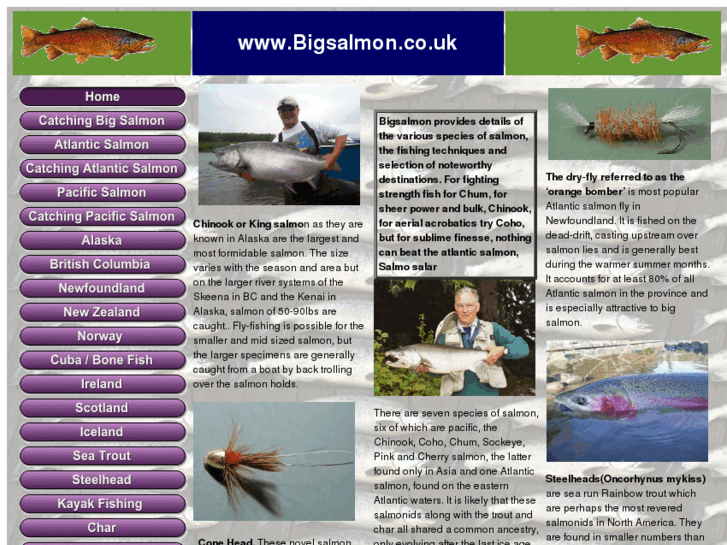 www.bigsalmon.co.uk