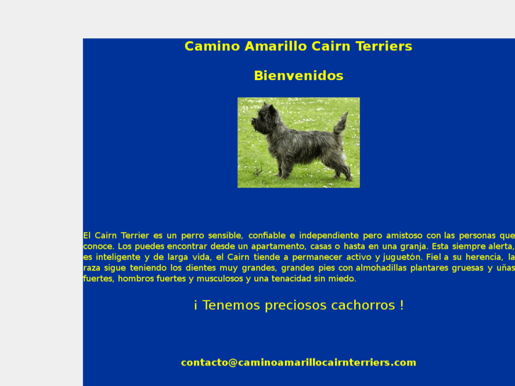 www.caminoamarillocairnterriers.com