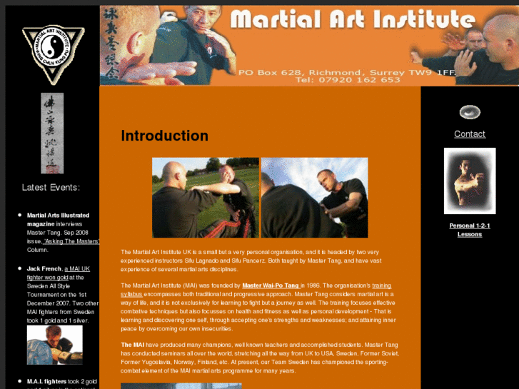 www.martialartinstitute.com