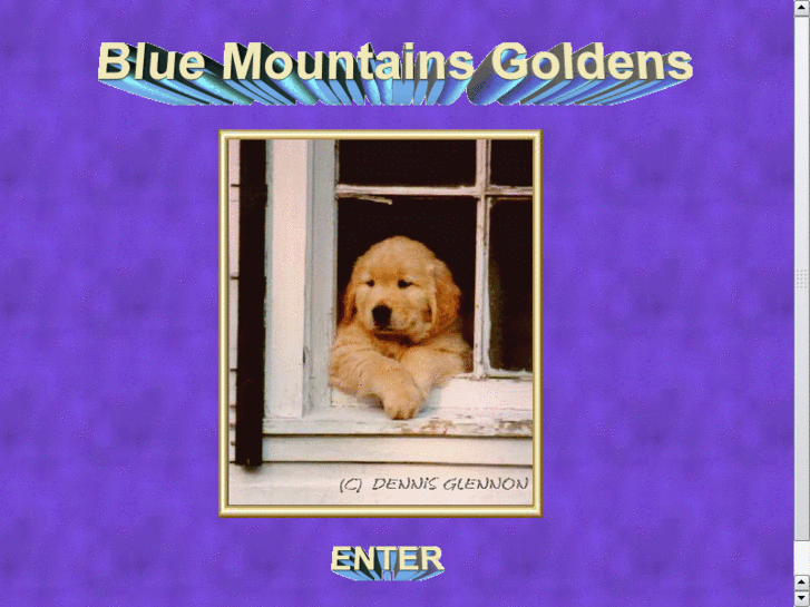 www.bluemountainsgoldens.com