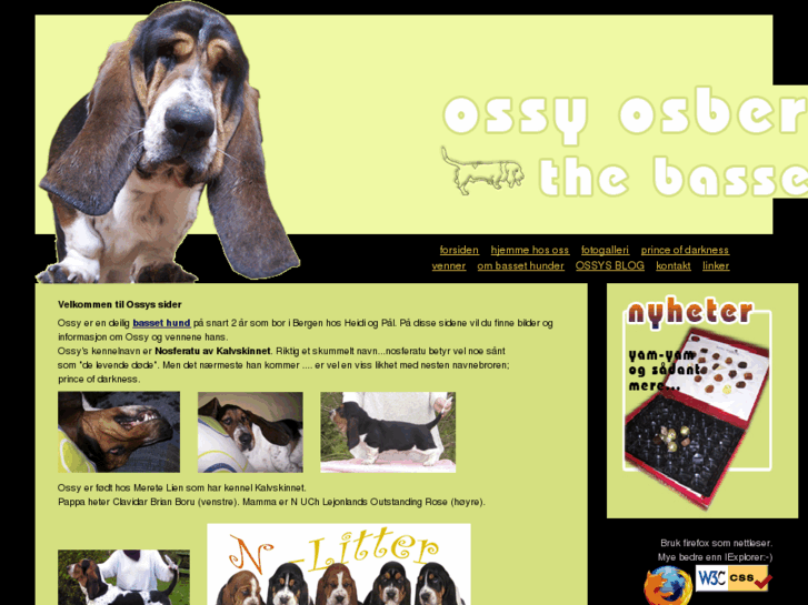 www.ossyosbert.com