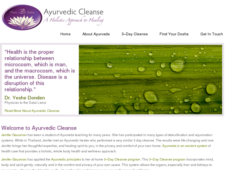 www.ayurvediccleanse.com