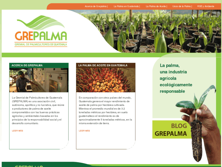 www.grepalma.org