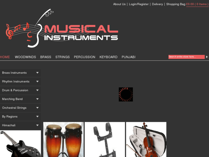 www.musicalinstruments101.com
