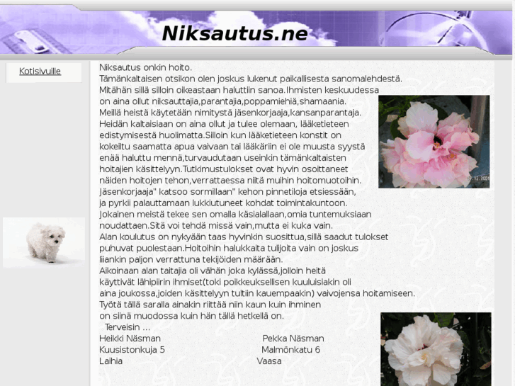 www.niksautus.net