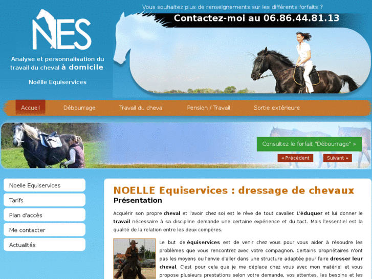 www.noelle-equiservices.com