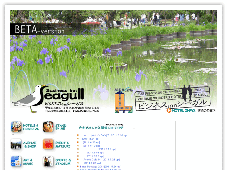 www.seagulls.co.jp