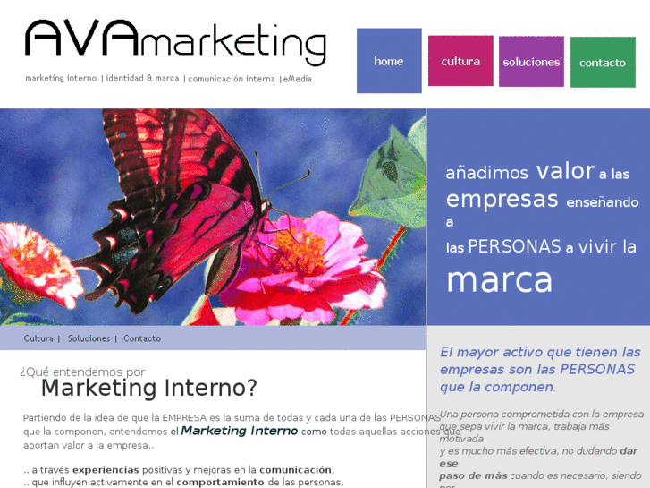 www.avamarketing.es