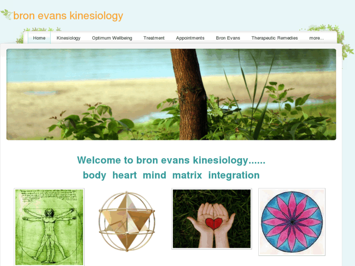 www.bronevanskinesiology.com