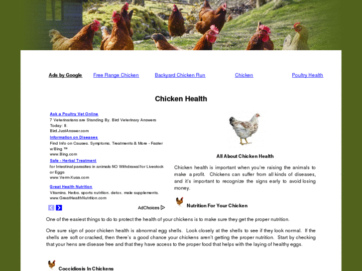 www.chickenhealth.net