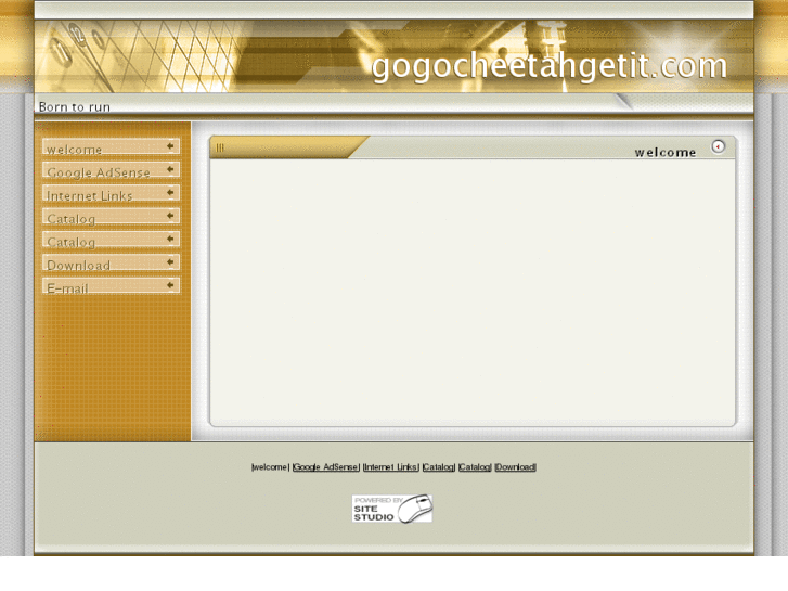 www.gogocheetahgetit.com