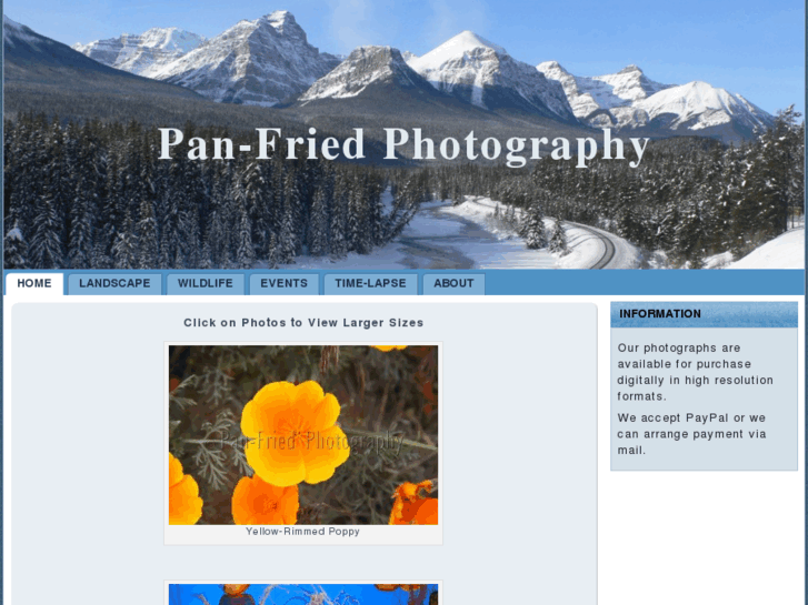 www.panfriedphotography.com