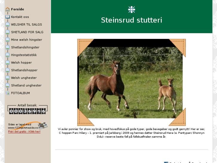 www.steinsrud-stutteri.net