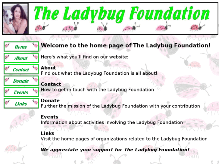 www.theladybugfoundation.com