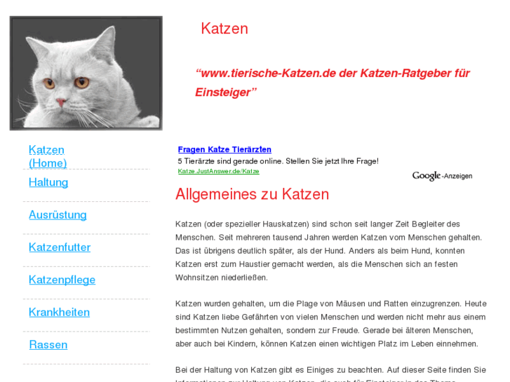 www.tierische-katzen.de