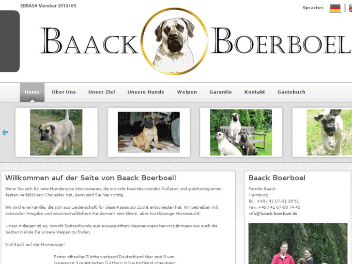 www.baack-boerboel.com