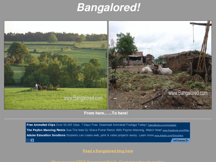 www.bangalored.net