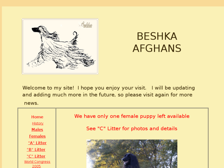 www.beshkaafghans.com