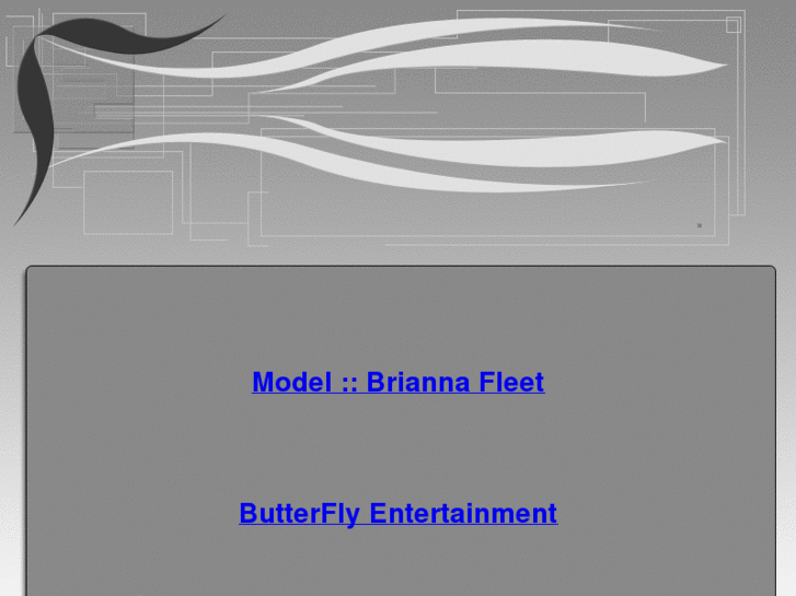www.briannafleet.com