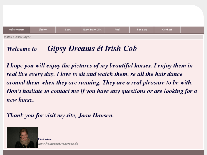 www.gipsydreams-et-irishcob.com