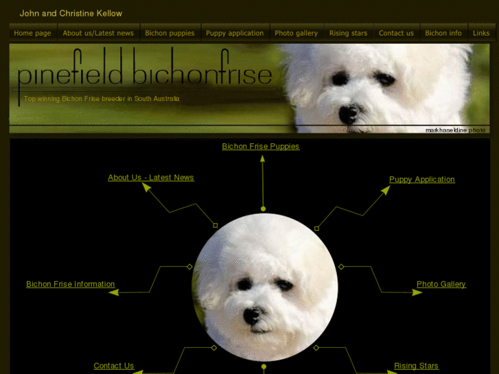 www.pinefieldbichonfrise.net